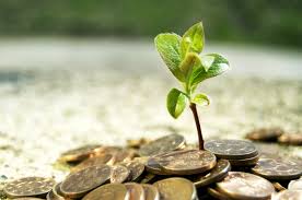 Waqf / Endowment Contribution